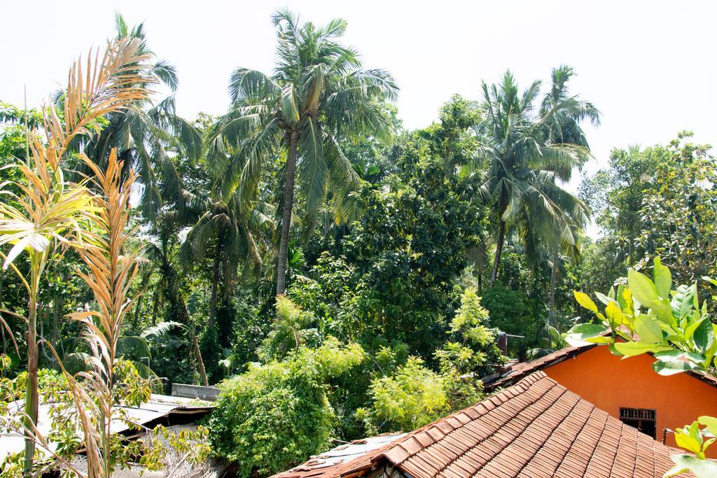 Garden Inn Mirissa Luaran gambar