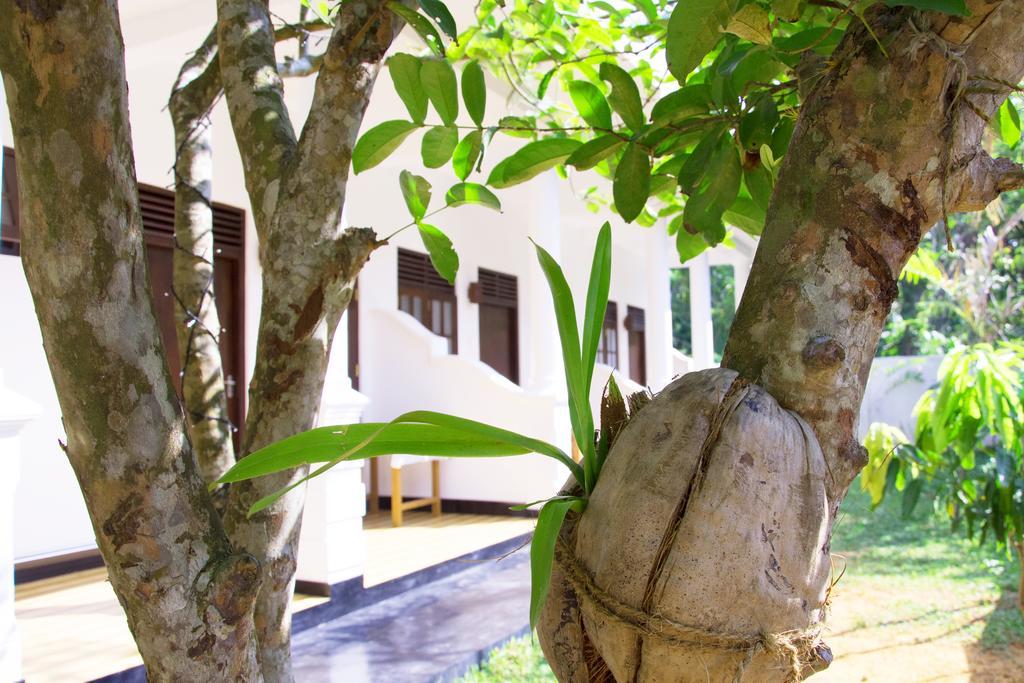 Garden Inn Mirissa Luaran gambar