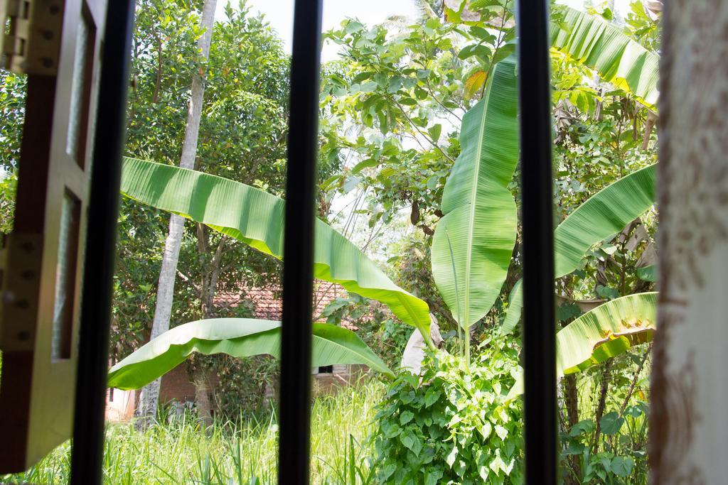 Garden Inn Mirissa Luaran gambar